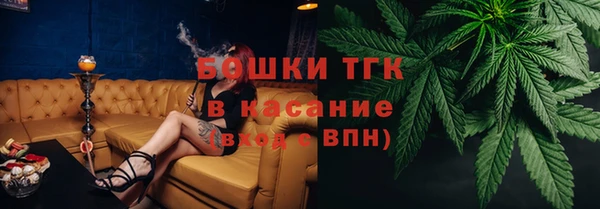 гашик Алексин