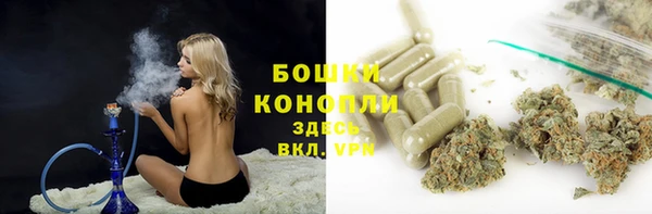 дмт Гусев
