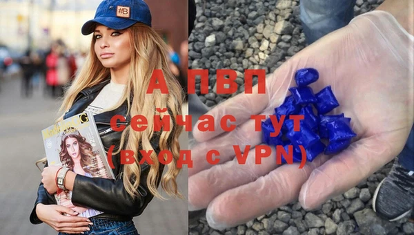 винт Гусиноозёрск